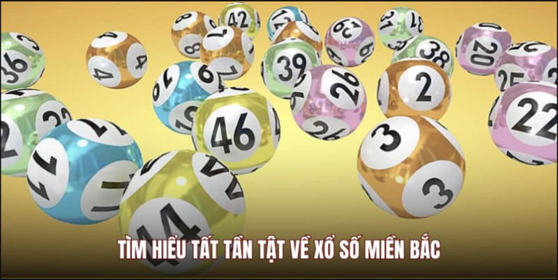 Khái niệm và Cách chơi