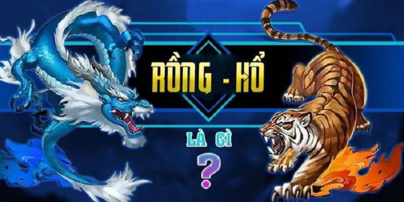 Hướng dẫn chi tiết cách chơi cho người mới bắt đầu