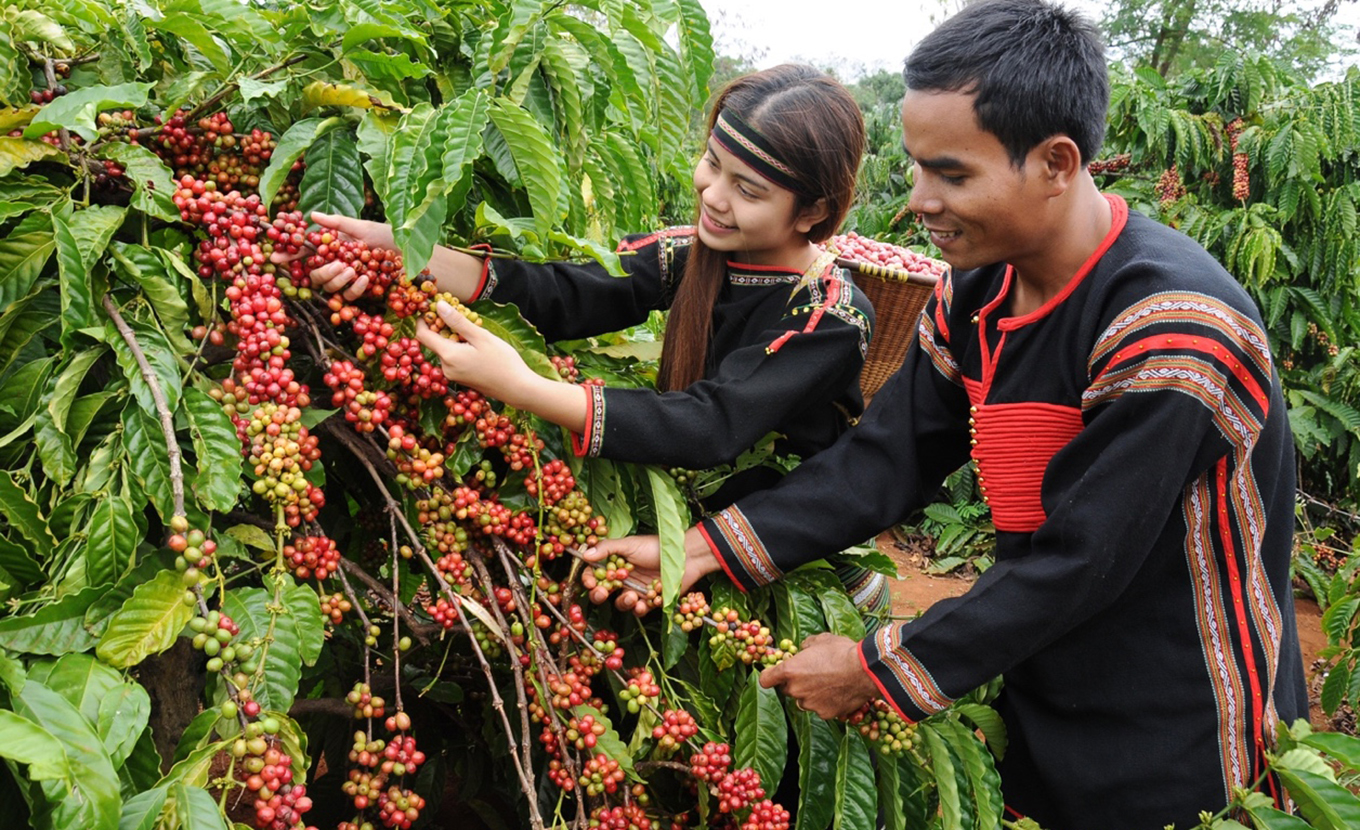 cà phê Buôn Ma Thuột có gì đặc biệt