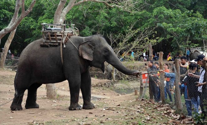 Lộ trình di chuyển từ Buôn Ma Thuột đi Buôn Đôn chuẩn nhấtLộ trình di chuyển từ Buôn Ma Thuột đi Buôn Đôn chuẩn nhất